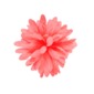 Kvet na riaditka Dahlia pink