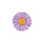 Electra kvet na riadítka Daisy Lilac