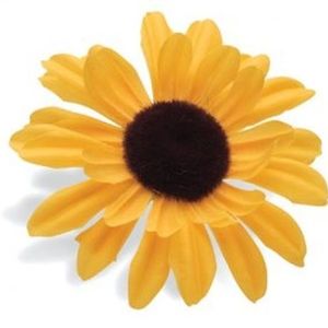 Electra kvet na riadítka slnečnica žltá